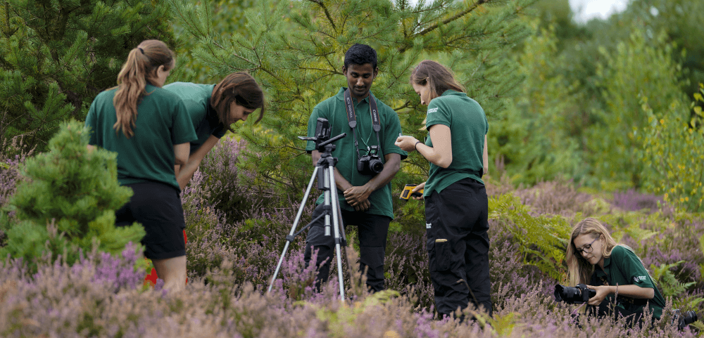 Sand Lizard release 2019 at Eelmoor Marsh, Rachel Gardner and co. conducting research - credit Marwell Wildlife